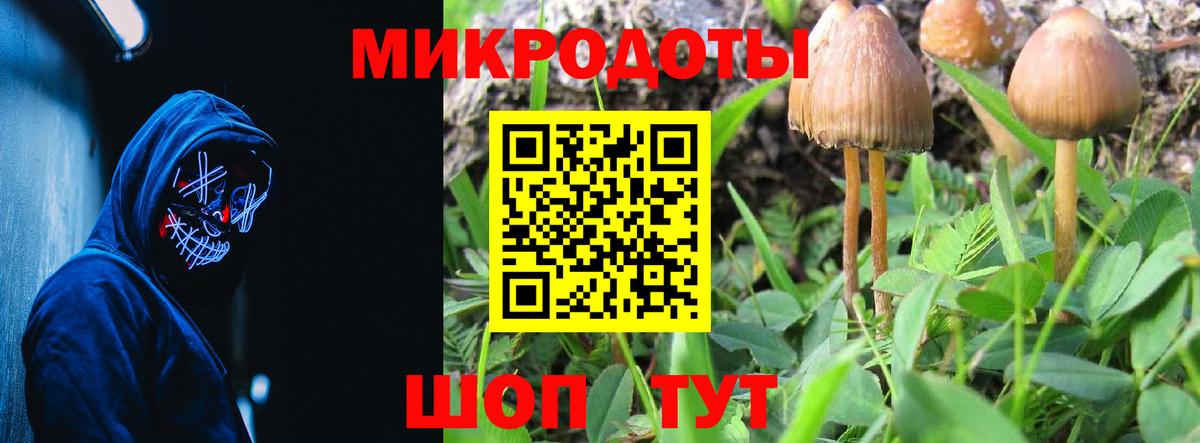 Нижний Тагил  купить  цена  Вход с VPN  Псилоцибиновые грибы ЛСД 